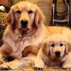 juliancavadia09's profile picture. 