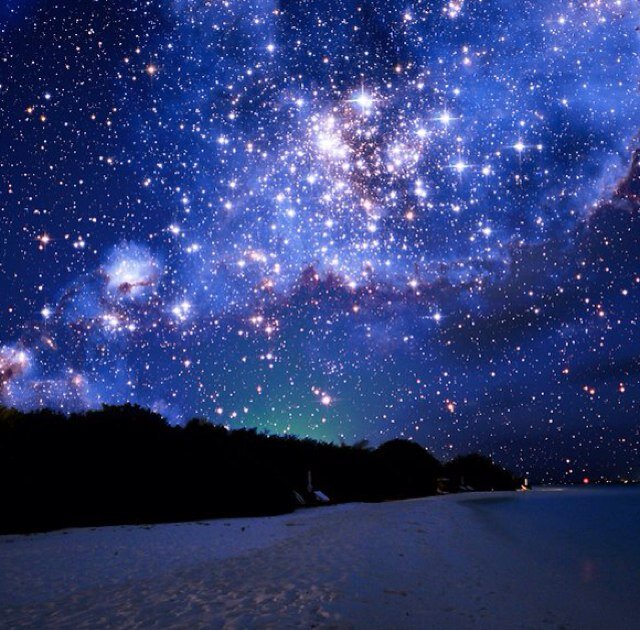 Carolin24898539's profile picture. 