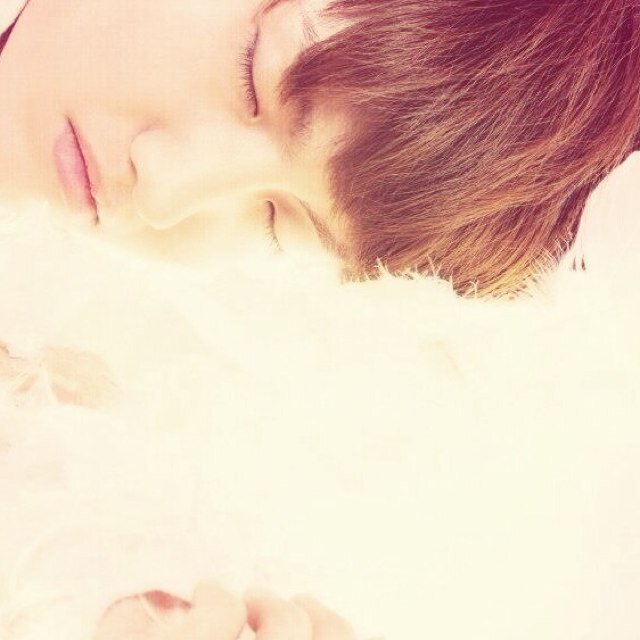 tvxq__max_bot Profile Picture