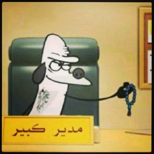 bb:76114948                kik : 3zoz_sq