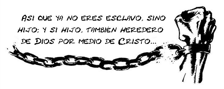 daniela63954510's profile picture. 