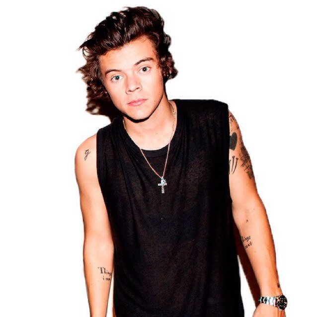 Im Harry, i'm 19 and my best friend is @FakingAshton_