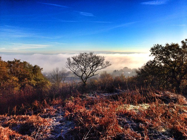 jwpollard100's profile picture. 