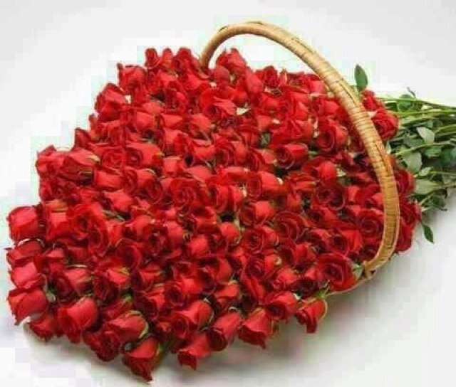 Trn96532002's profile picture. 