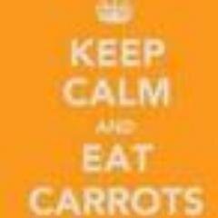 If you like: carrots, tacos, cats, pigeons, and well, ONE DIRECTION... then follow us you all directioners!!!...KEVIN!!! :p