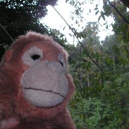 Making my way in the world today, without cheese based snacks. Ecologist and wildlife garden enthusiast.