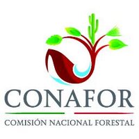 ConaforSonora(@Conafor_Sonora) 's Twitter Profile Photo