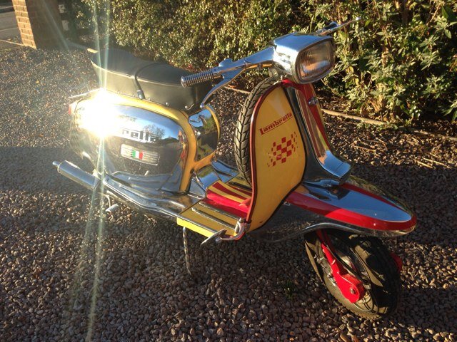 skellyscoot's profile picture. Don’t worry about it!