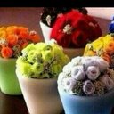 بنت الیمن## (@055747111) Twitter