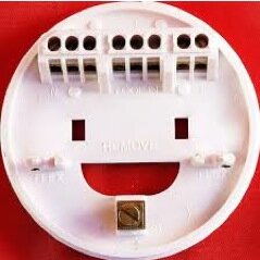 FacesThingss's profile picture. Smartest and Funniest Pics!