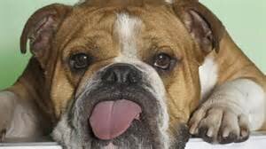 Sometimes snort when I laugh...is that so wrong?