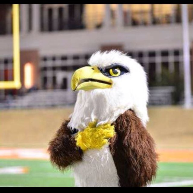 Official Stratford Student Section Page Instagram: stratfordgradybunch Snapchat: eaglespepclub
