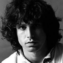 Pink Floyd / Led Zeppelin /  The Rolling Stones / The Velvet Underground / The Beatles/ Nirvana / The Strokes / Arctic Monkeys /The Doors  ...