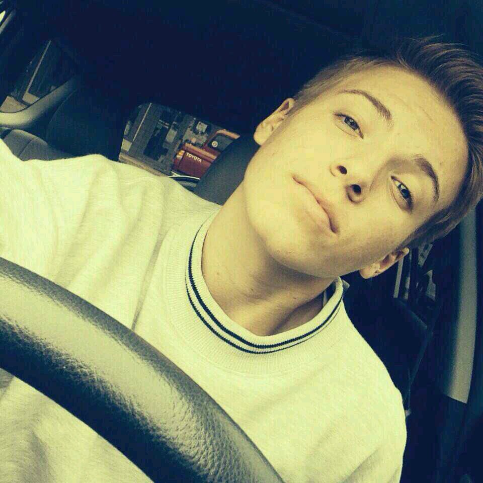 Some call blondes dumb, I, on the other hand, think they're perfectly fine. ¦¦ The Son of Cashmere ¦¦ THGRP OC ¦¦