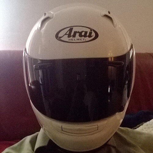 bigDummyandI's profile picture. 