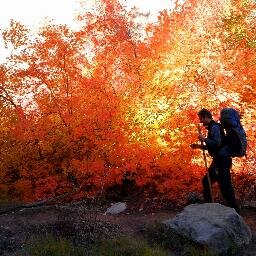 We design websites and build digital strategies for outdoor brands. We also host some of the most prolific outdoor bloggers on our network.  Take a look.