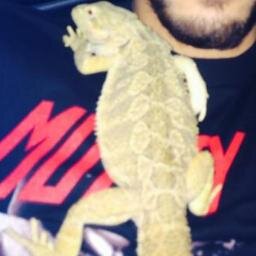 i'm on top of zayn and you're not