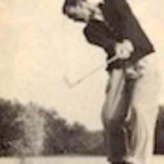 pavaveda's profile picture. 