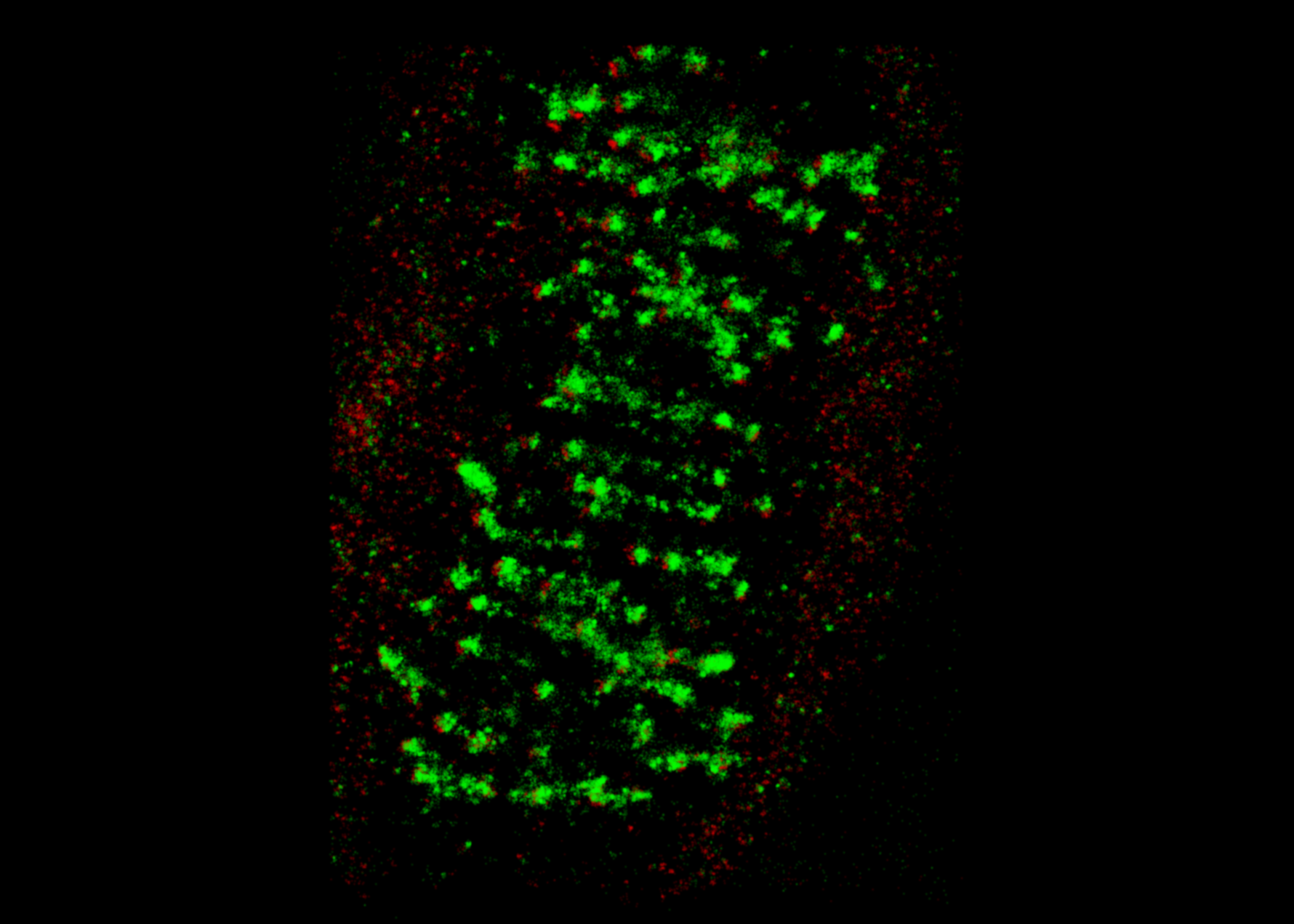 vutara_'s profile picture. 3D super-resolution