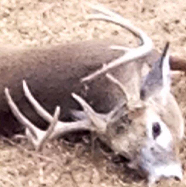 Proud dad of 2 beautiful daughters, avid hunter, proud American, farmer and oilfield worker