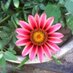 Habib (@akhtar6340115) Twitter profile photo
