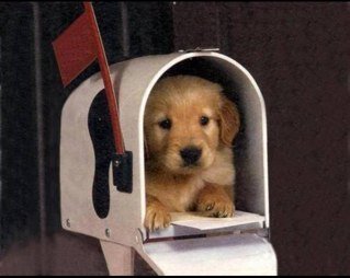 boyfromdville's profile picture. 