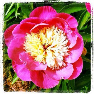 SBranstiter's profile picture. Hello Friend!