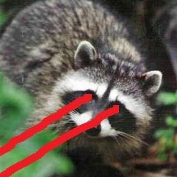 tysonjroberts's profile picture. 