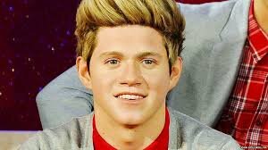 i got kissed by niall horan and met 5/5, you