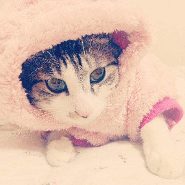난 마르봇인가..? 마르 ♥