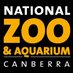 National Zoo & Aqua (@national_zoo) Twitter profile photo