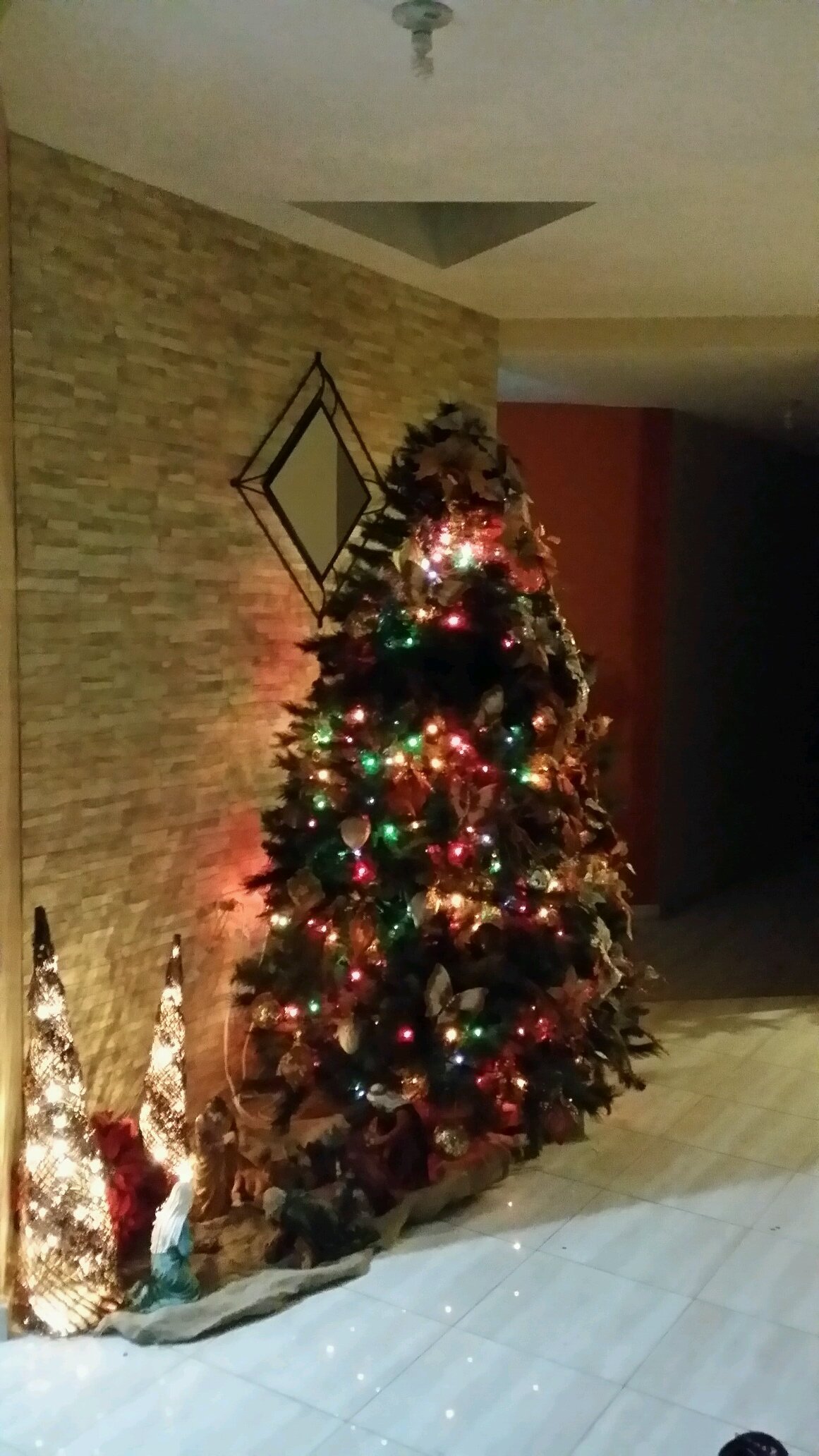 MdcvC's profile picture. 