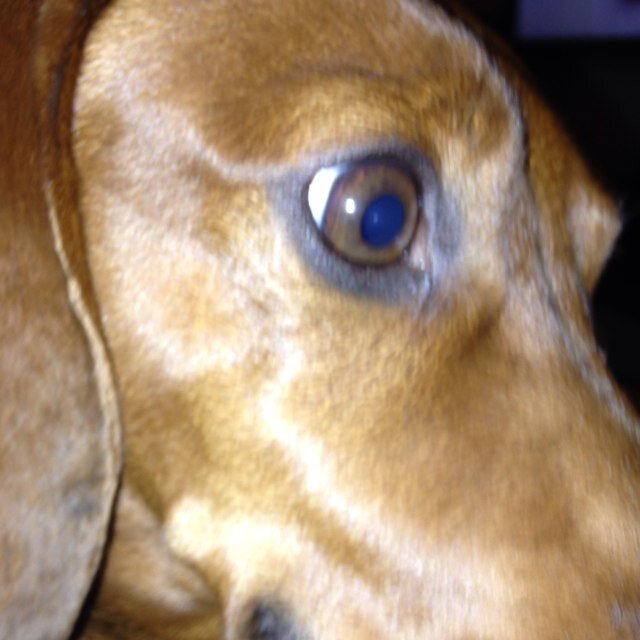 Lemme sniff you