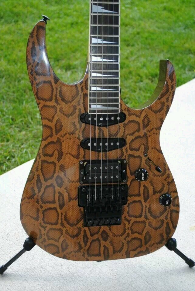 Full grown child, born with my middle finger fully extended.Scary Guitar. Big Dumb Riffs.Excess Means Success. Hey...I'm not for everybody...
