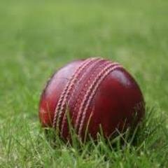 Cricket Fan...... Love @IPL @BCCI @lalitkmodi But hate poeple running Indian cricket right now