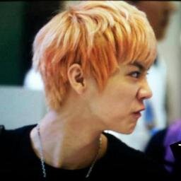 ▲▽ ยองชาวทวิตต เป็นอซฟ.(Only) เมนหลักอิเน่ เมนรองพี่หาญ               เป็นแม่ ยกฮุนฮาน แค่ฮุนฮานเท่านั้นแหละรักสุดหัวใจ ▲▽ Sehun's Girl. 9477