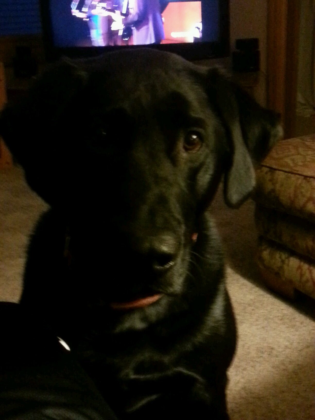 BobBird73's profile picture. Parent, Sports Fan, Faster than a speeding bullet?