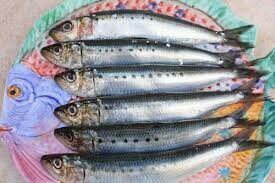 saya suka makan sardine hari hari saya makan sardine