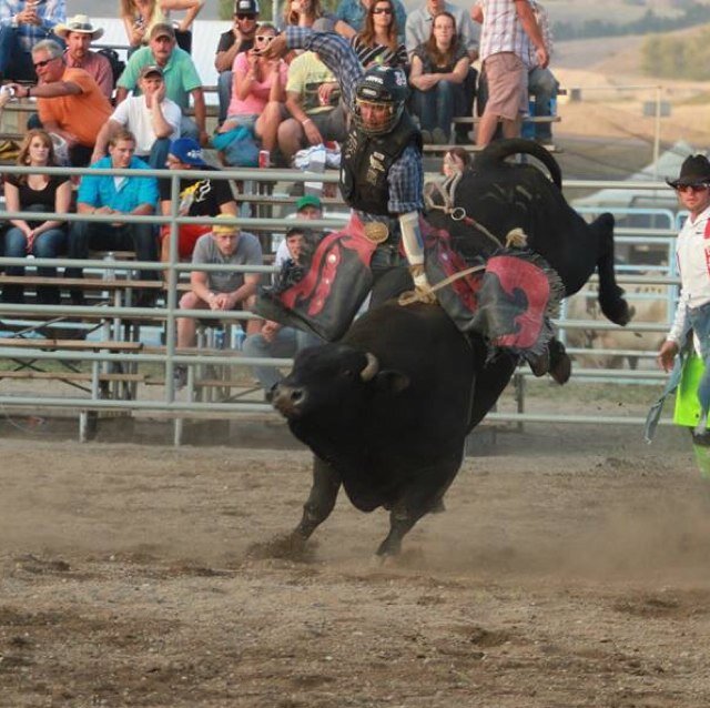 MtRodeo's profile picture. Welcome to Montana Rodeo! We cover anything in the world of rodeo. It can be national or even small hometown, we got it right here! Any event you bet we got it!