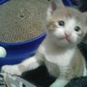 William Freeman - @wtfreeman6 - Twitter