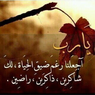 nazf2012's profile picture. ‏‏​آستغفروآ آللہ كثيرآ : فأنه سُبحآنہ
   يقول هل مِن مُستغفر فأغفر لہ ،