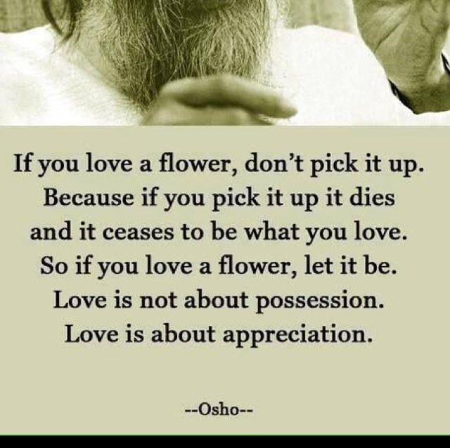 AdviceforlLife's profile picture. I will give a daily piece of advice to followers or just random words of wisdom.  Dm me for help