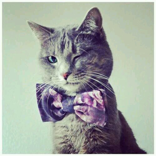 zenj1224's profile picture. 