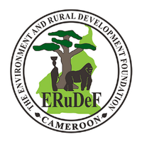 ERuDeF (@erudefcameroon) 's Twitter Profile