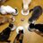ひでにゃまのアイコン