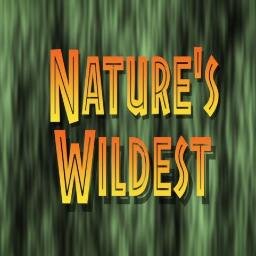 Nature and travel series. Follow us and join the adventure.