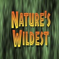 Nature's Wildest (@natureswildest) 's Twitter Profile