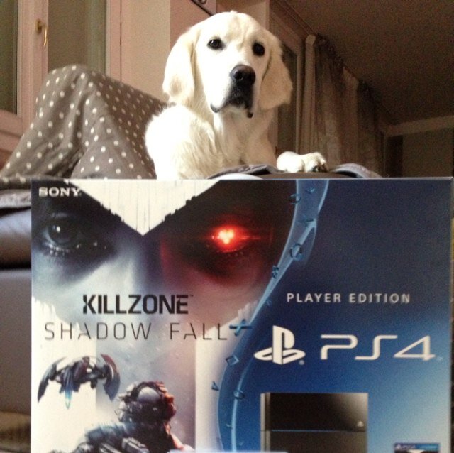 Viperfritz Profile Picture
