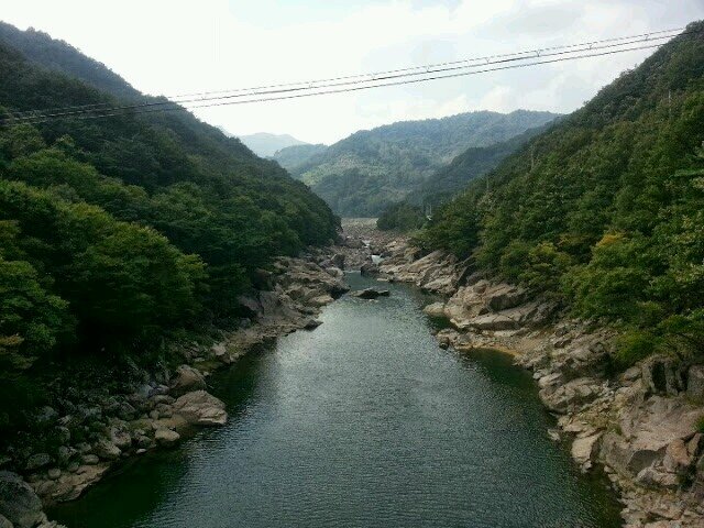 김홍수입니다.