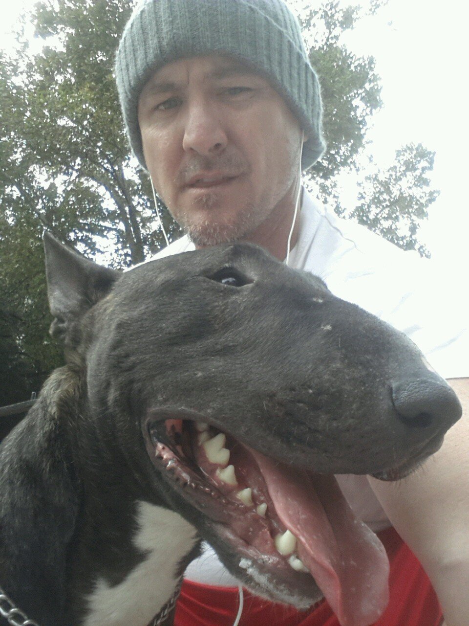 wimbornone's profile picture. Mad hatter insomniac too ADHD to